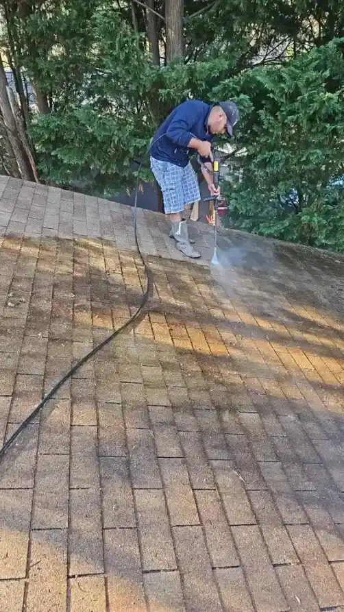 Pressure Washing Service