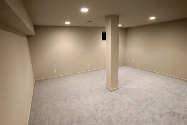Basement Renovation